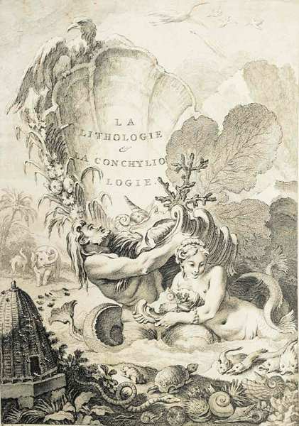 L'HISTOIRE NATURELLE ECLAIRCIE DANS DEUX DE SES PARTIES PRINCIPALES, LA …