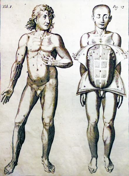 TAVOLE ANATOMICHE DEL VESLINGIO. - Spiegate in lingua italiana, dedicate …