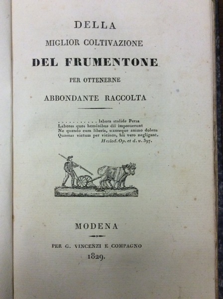 DELLA MIGLIOR COLTIVAZIONE DEL FRUMENTONE PER OTTENERNE ABBONDANTE RACCOLTA.