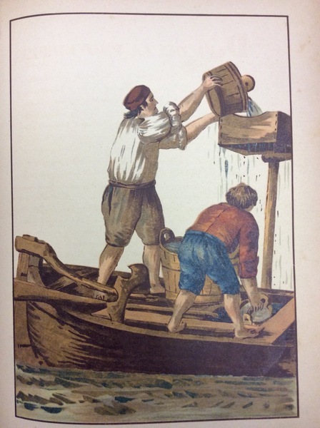 I POZZI DI VENEZIA: 1015 - 1906.