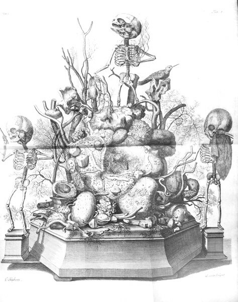 OPERA OMNIA ANATOMICO-MEDICO-CHIRURGICA. - Huc usque edita. Quorum elenchus pagina …