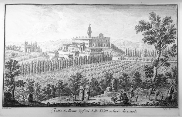 VEDUTE DELLE VILLE E D'ALTRI LUOGHI DELLA TOSCANA.