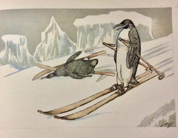 WILDE NATURE IN PICTURES, RHYMES AND REASONS.