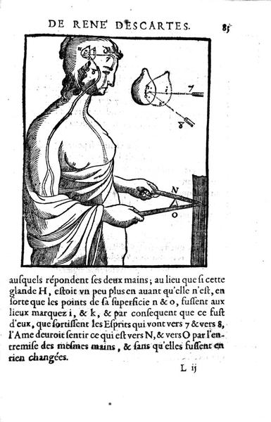 L'HOMME ET UN TRAITTE' DE LA FORMATION DU FOETUS DU …