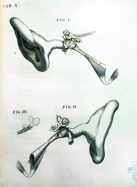 DE AURE HUMANA TRACTATUS. - In quo integra eiusdem auris …