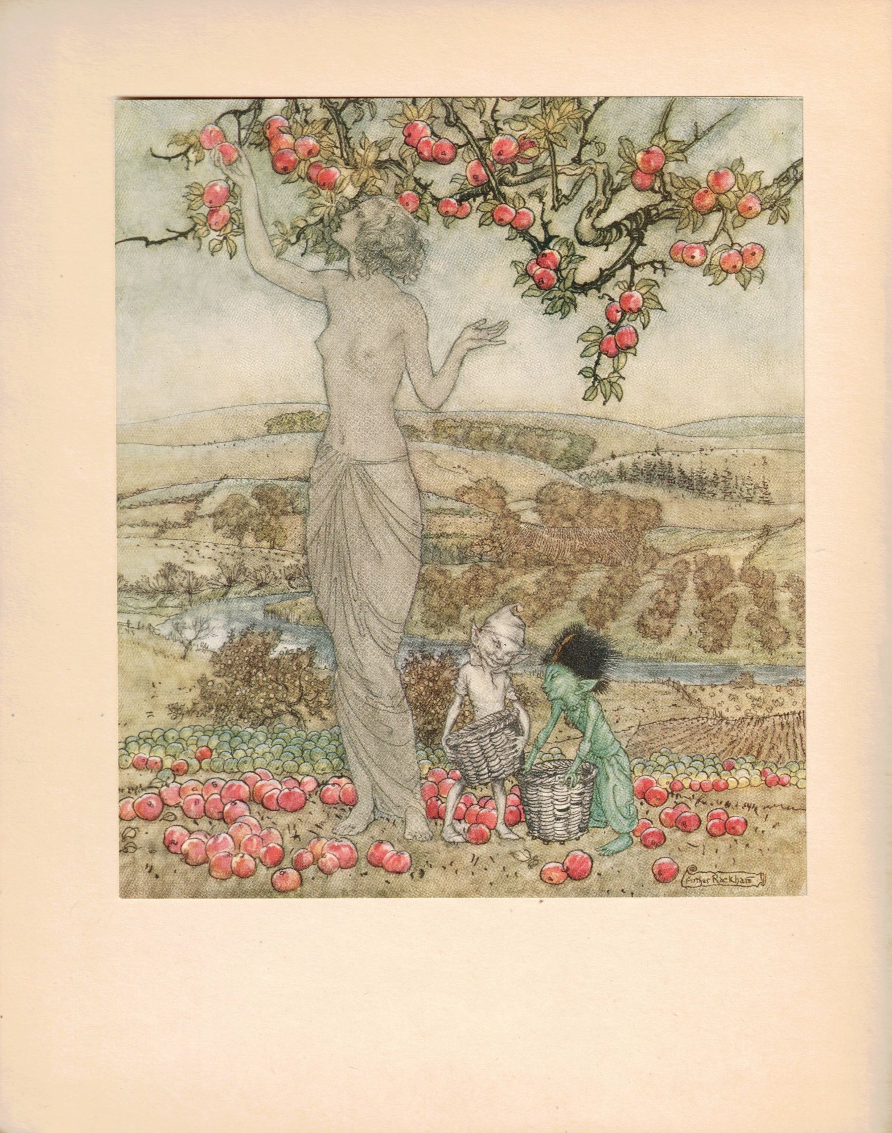 A DISH OF APPLES. - With illustrations by Arthur Rackham.