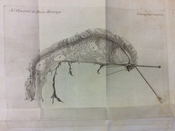 ANTONII PACCHIONI REGIENSIS MEDICI, & ANATOMICI ROMANI OPERA. - Editio …