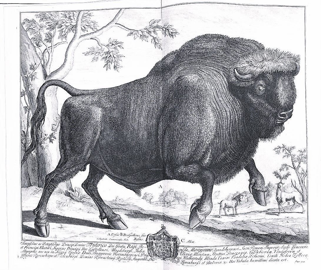 C. JULII CAESARIS QUAE EXTANT. ACCURATISSIME CUM LIBRIS EDITIS & …