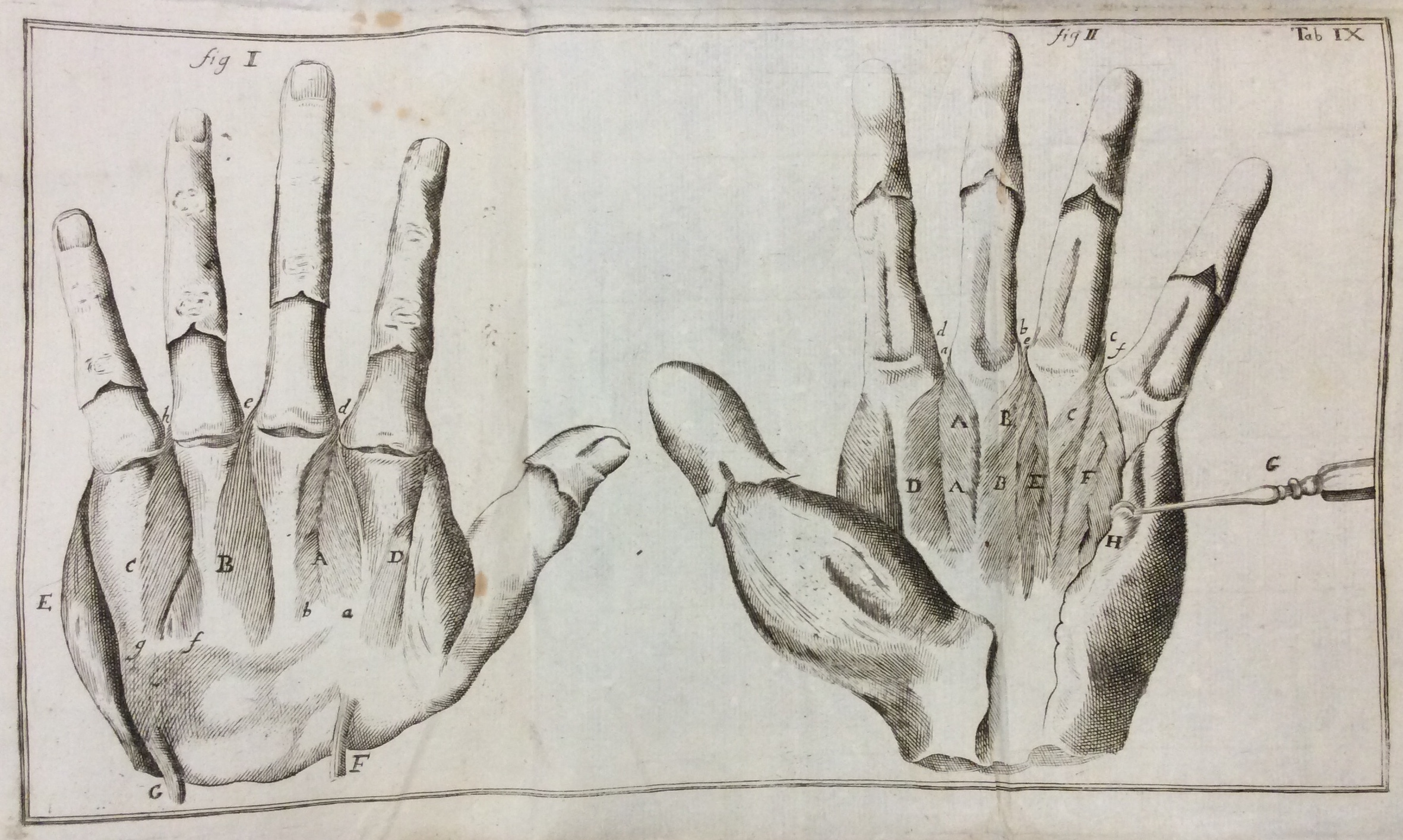 COMPENDIUM ANATOMICUM. - Totam rem anatomicam brevissime complectens. Editio sexta …