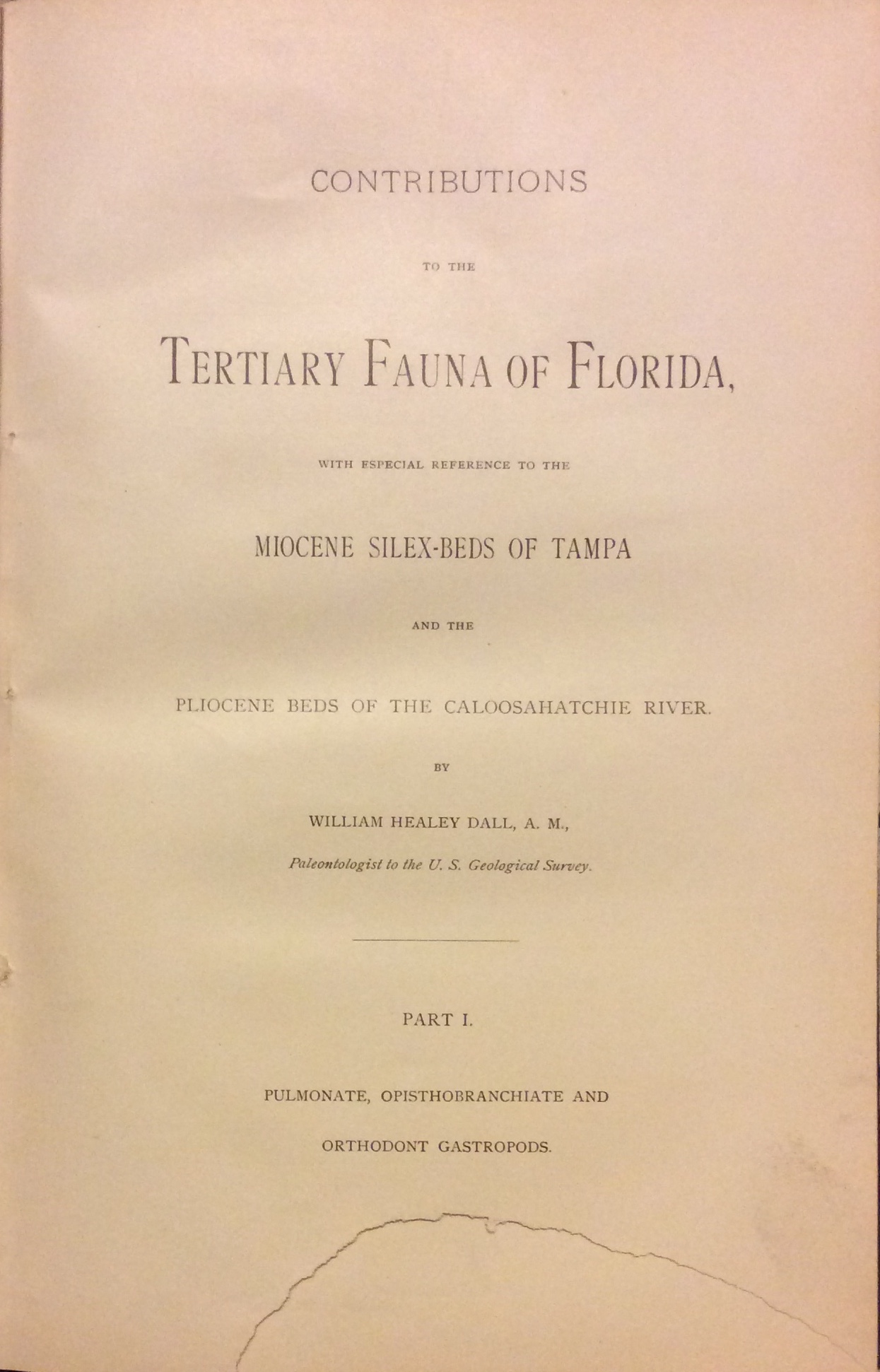 CONTRIBUTIONS TO THE TERTIARY FAUNA OF FLORIDA WITH SPECIAL REFERENCE …