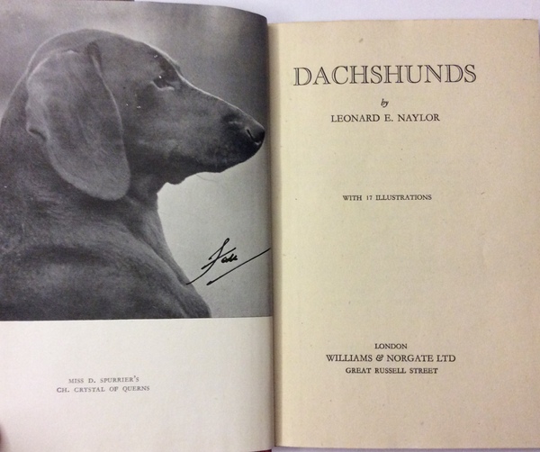 DACHSHUNDS. - With 17 illustrations.