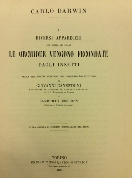I DIVERSI APPARECCHI COL MEZZO DEI QUALI LE ORCHIDEE VENGONO …
