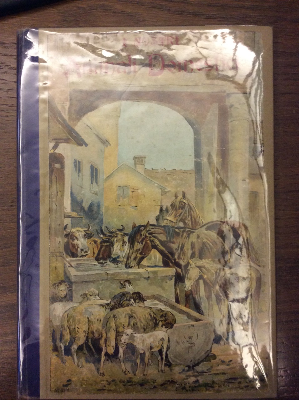 I NOSTRI ANIMALI DOMESTICI.