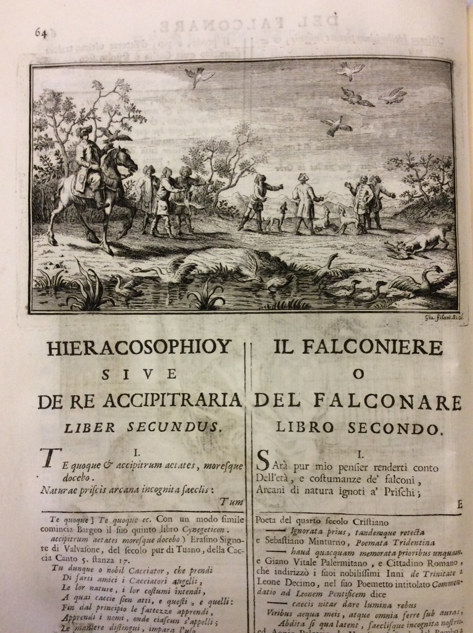 IL FALCONIERE. - Dall'esametro latino all'endecasillabo italiano trasferito, ed interpretato. …