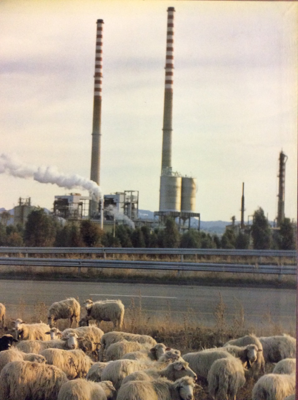 IL SUD E LE ISOLE. - L'Italia: uomini e territorio.