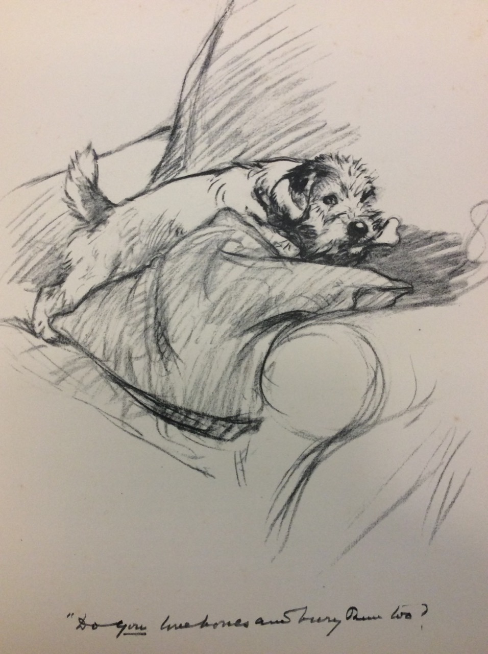 IN PRAISE OF DOGS. - An anthology in prose and …