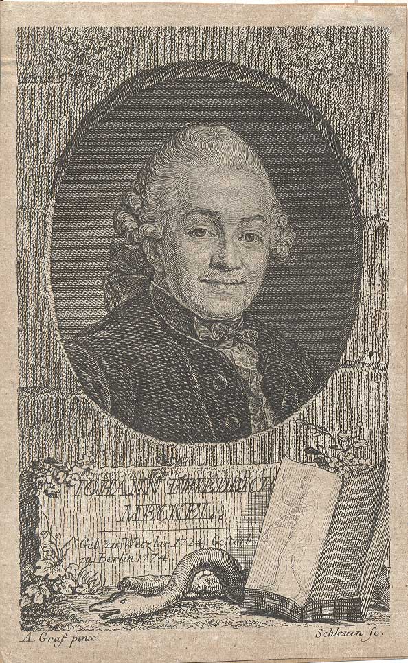 IOHANN FRIEDRICH MECKEL.