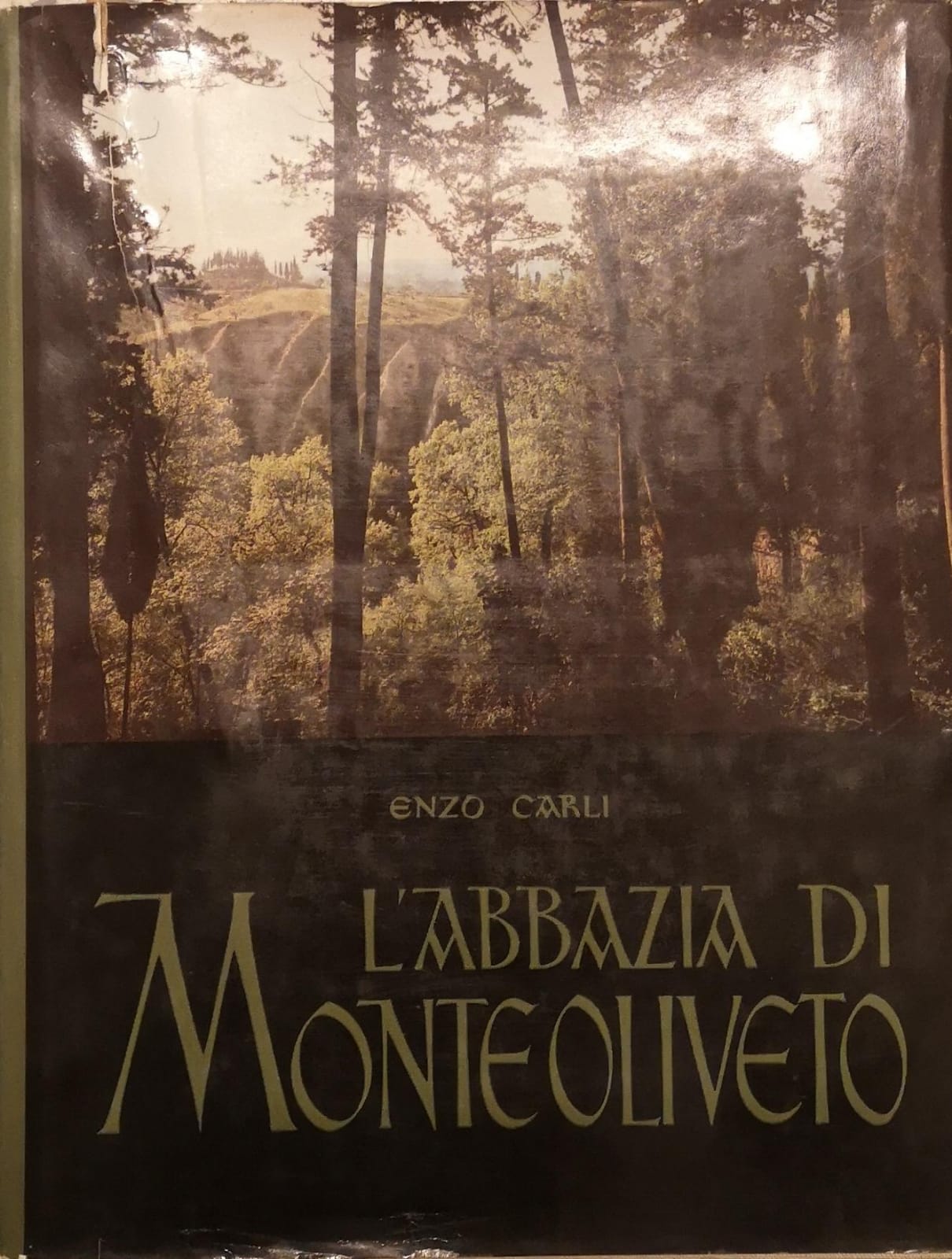 L'ABBAZIA DI MONTEOLIVETO.