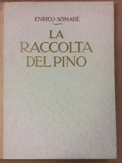 LA RACCOLTA DEL PINO