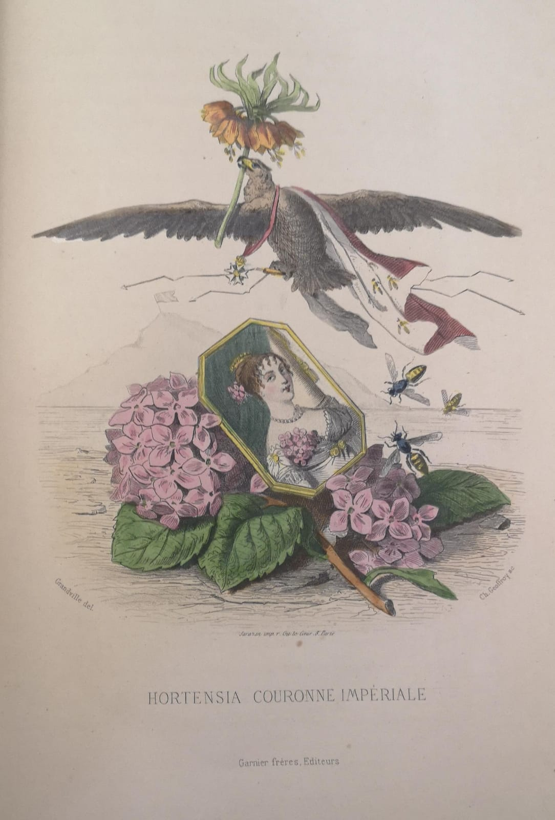 LES FLEURS ANIMEES. - Texte par A. Karr, T. Delord …
