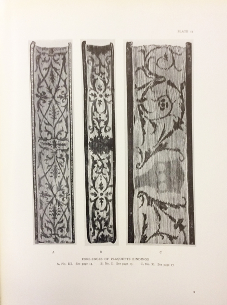 MAIOLI, CANEVARI AND OTHERS.