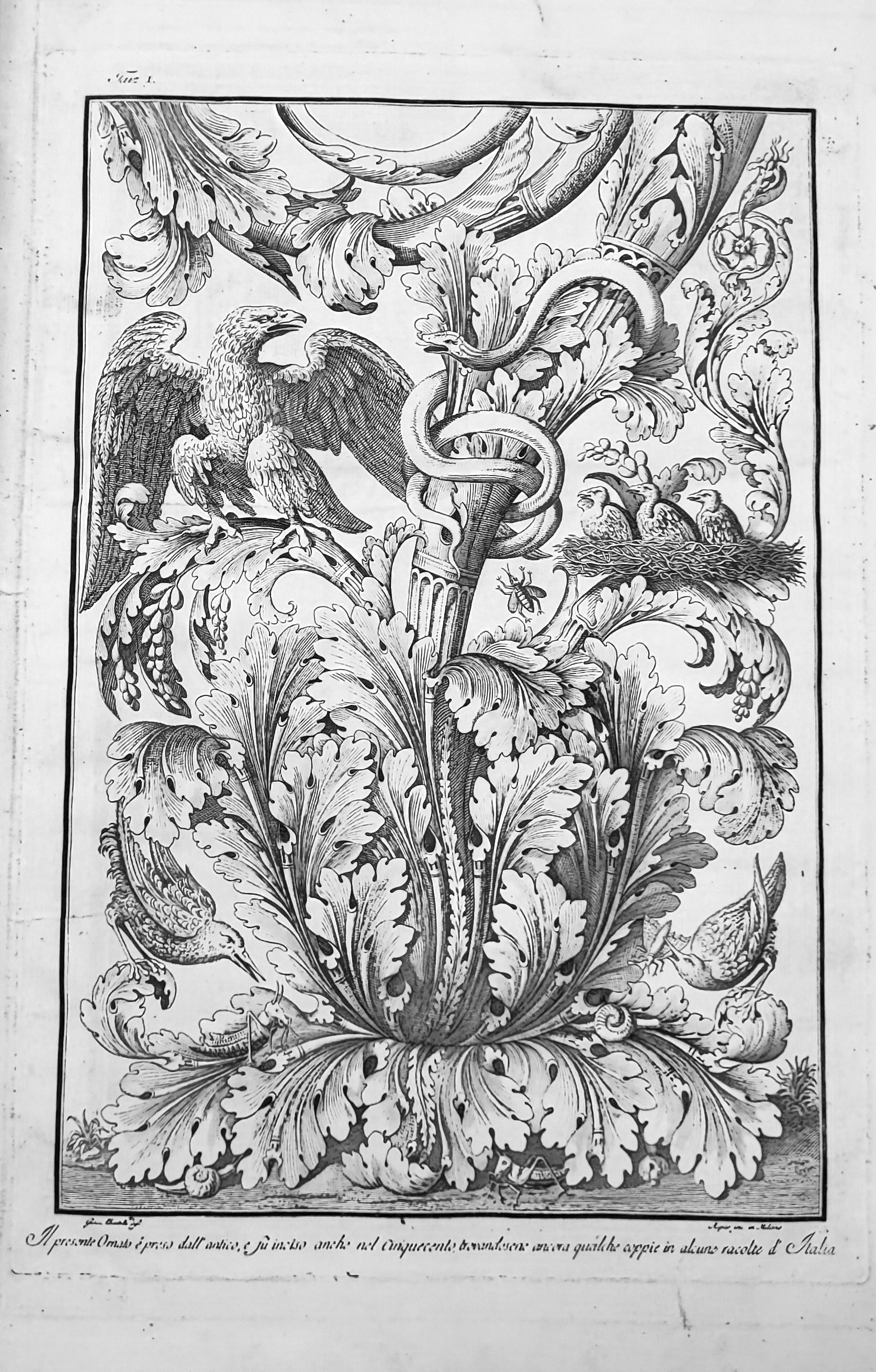 ORNAMENTI DIVERSI INVENTATI, DISEGNATI ED ESEGUITI DA GIOCONDO ALBERTOLLI. - …