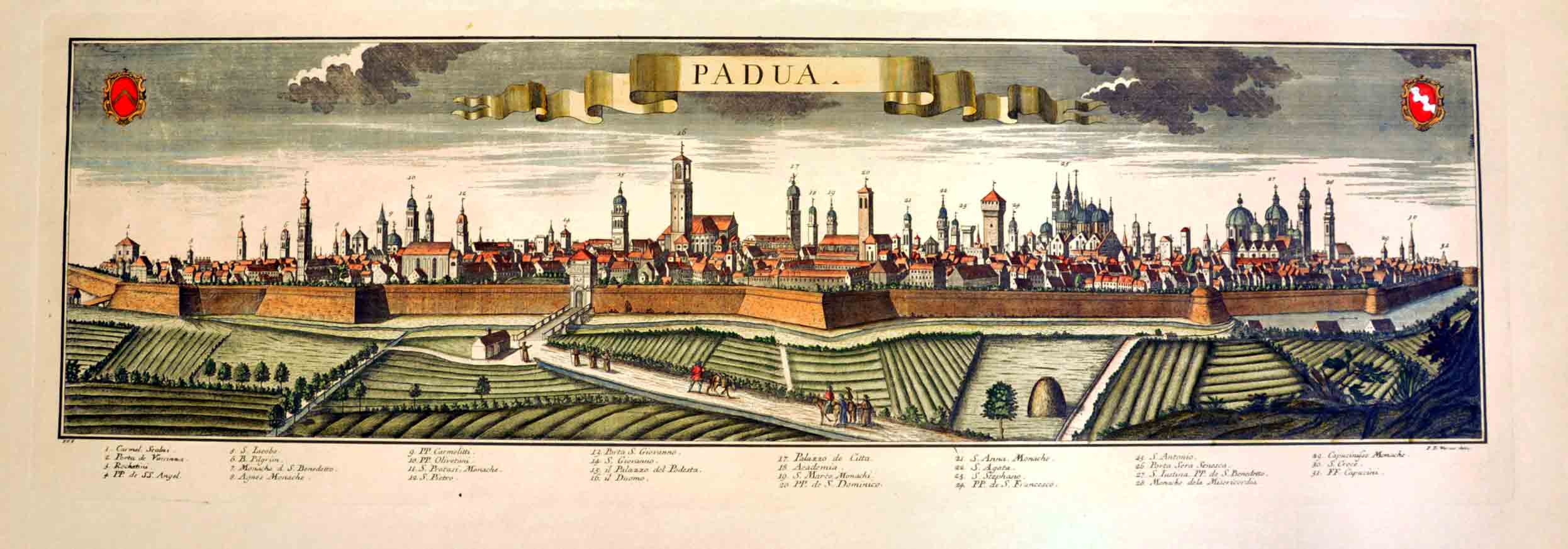 PADUA (PADOVA). - (Riproduzione di stampa d'epoca).