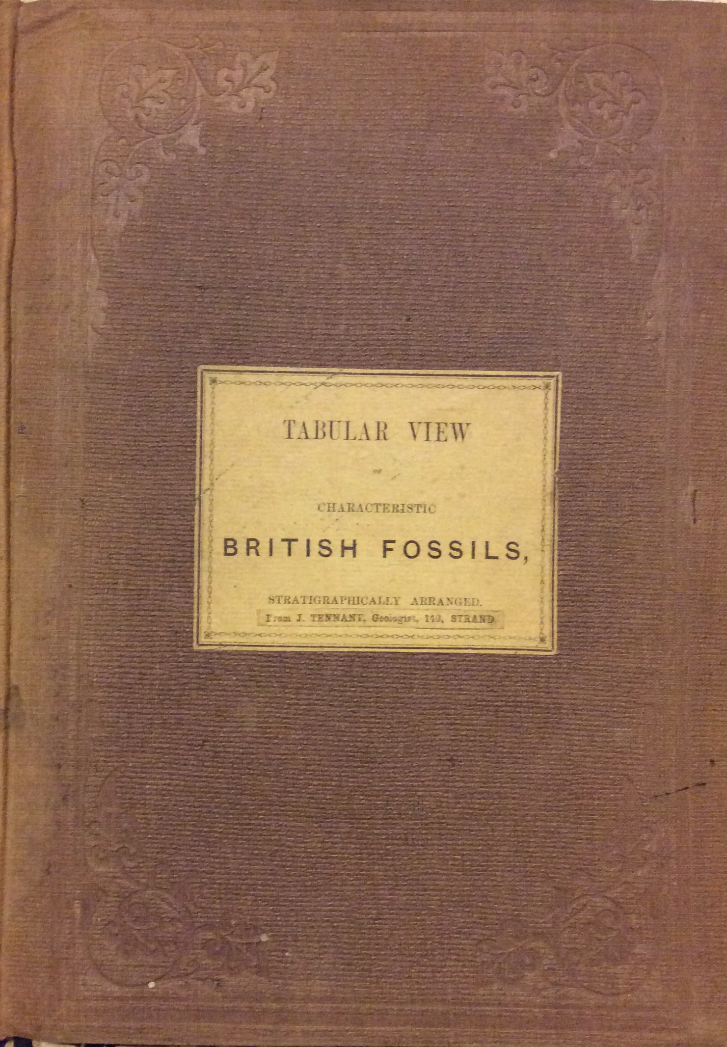 TABULAR VIEW OF CHARACTERISTIC BRITISH FOSSILS STRATIGRAPHICALLY ARRANGED.