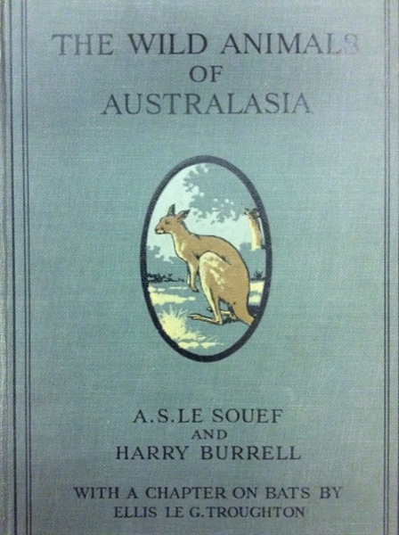 THE WILD ANIMALS OF AUSTRALASIA. - Embracing the mammals of …