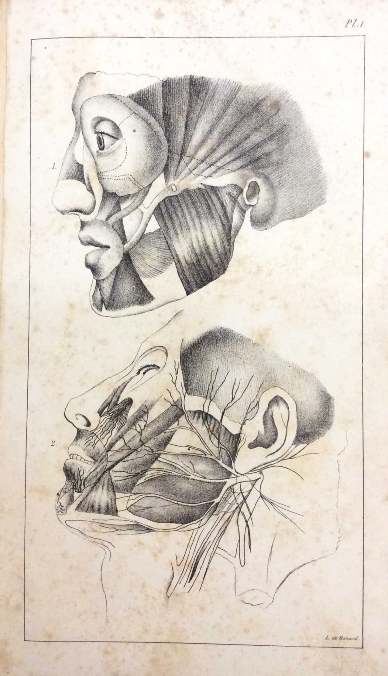TRAITÈ COMPLET DE L'ART DU DENTISTE. - D'après l'état actuel …