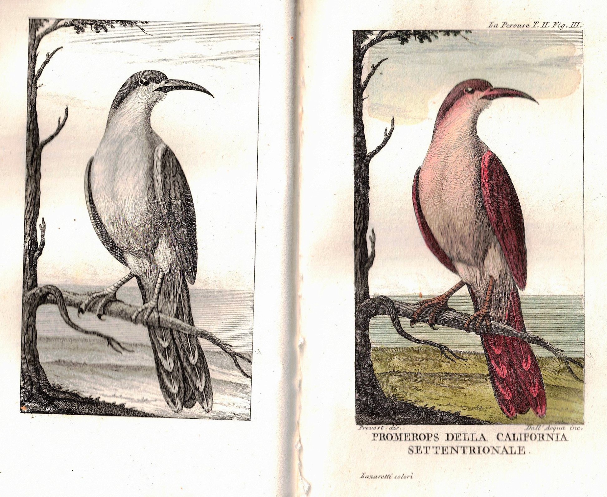 VIAGGIO DI LA PEROUSE INTORNO AL MONDO. TOMO II. - …