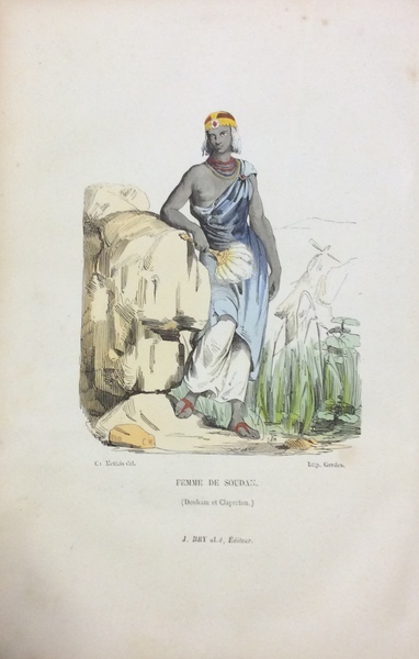 VOYAGES EN AFRIQUE. - Par Bruce - Adanson - Bonaparte …