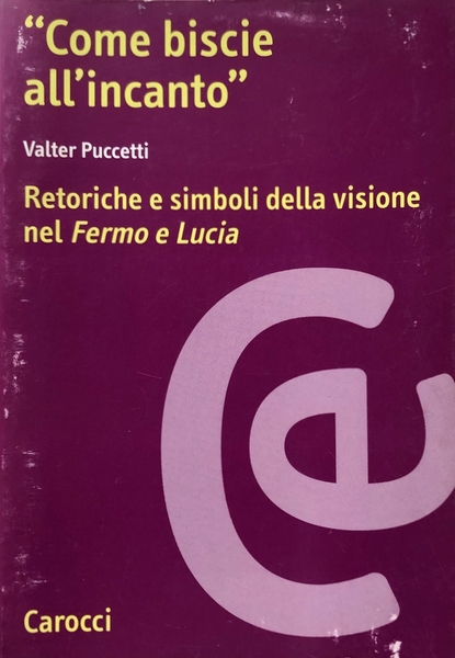 COME BISCIE ALL'INCANTO. RETORICHE E SIMBOLI DELLA VISIONE NEL FERMO …