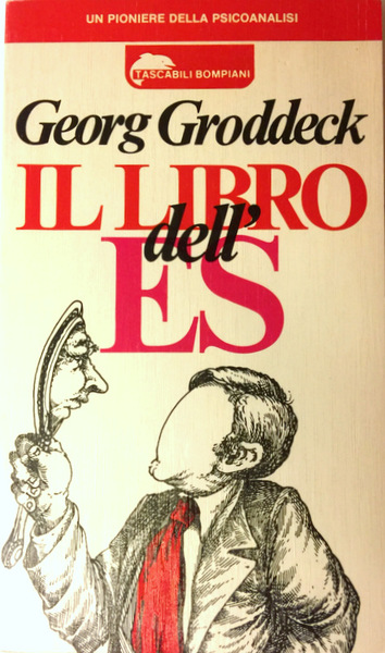 IL LIBRO DELL'ES. LETTERE DI PSICOANALISI A UN’AMICA