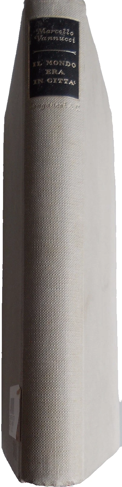 IL MONDO ERA IN CITTÀ. MEZZO SECOLO IN POSA