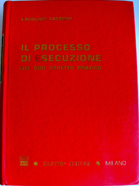 IL PROCESSO DI ESECUZIONE NEL SUO ASPETTO PRATICO