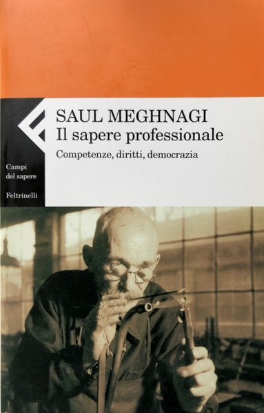 IL SAPERE PROFESSIONALE. COMPETENZE, DIRITTI, DEMOCRAZIA