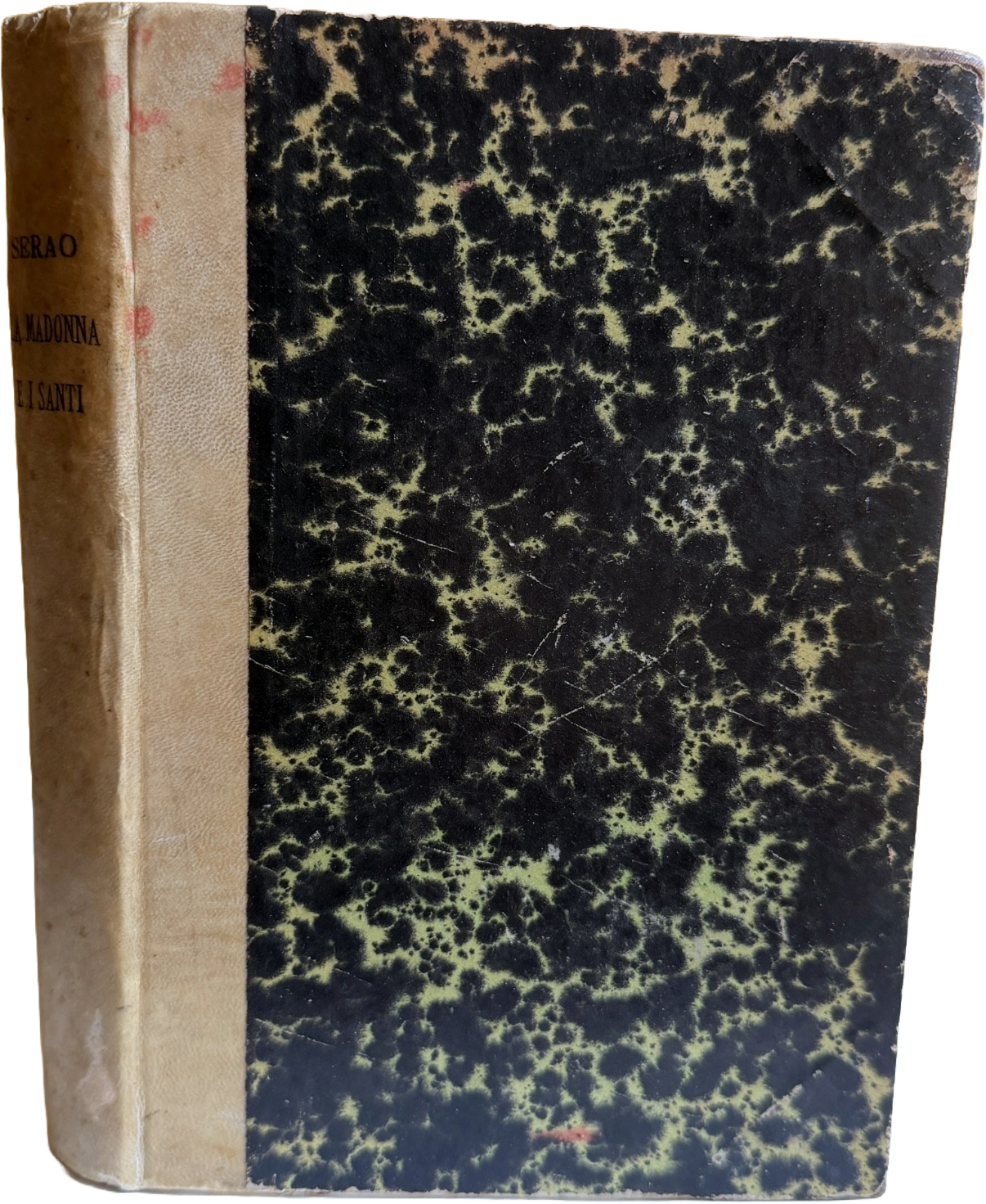 LA MADONNA E I SANTI (NELLA FEDE E NELLA VITA)