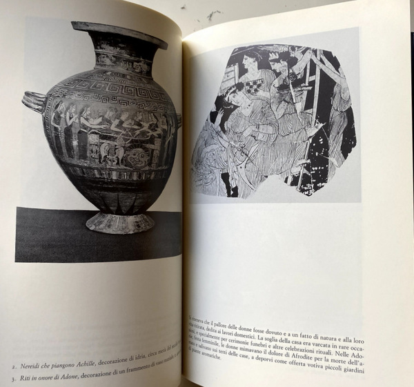 LA SCIENZA DELL'UOMO NELLA GRECIA ANTICA