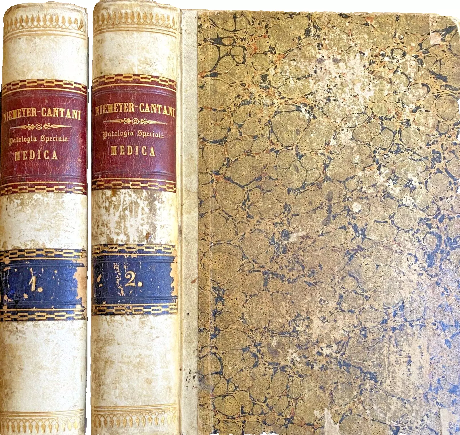 PATOLOGIA E TERAPIA SPECIALE, BASATE PARTICOLARMENTE SUI RECENTI PROGRESSI DELLA …