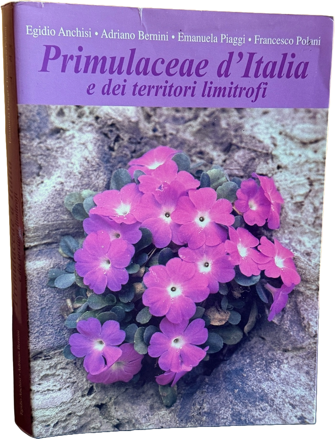 PRIMULACEAE D'ITALIA E DEI TERRITORI LIMITROFI