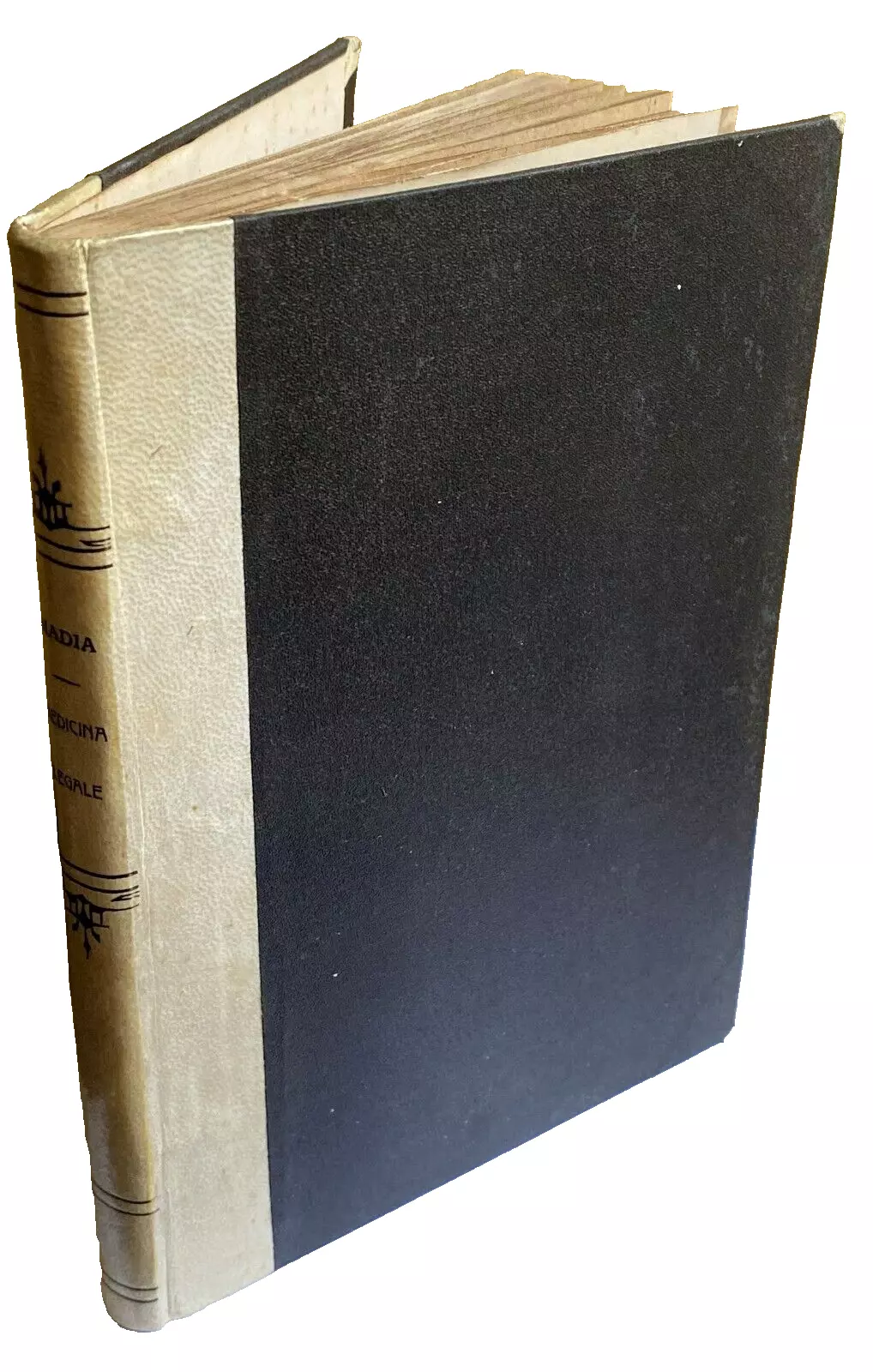 PRINCIPII DI MEDICINA LEGALE. PSICHIATRIA FORENSE, ANTROPOLOGIA CRIMINALE AD USO …