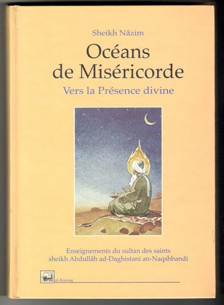 Océans de Miséricorde. Vers la Présence divine