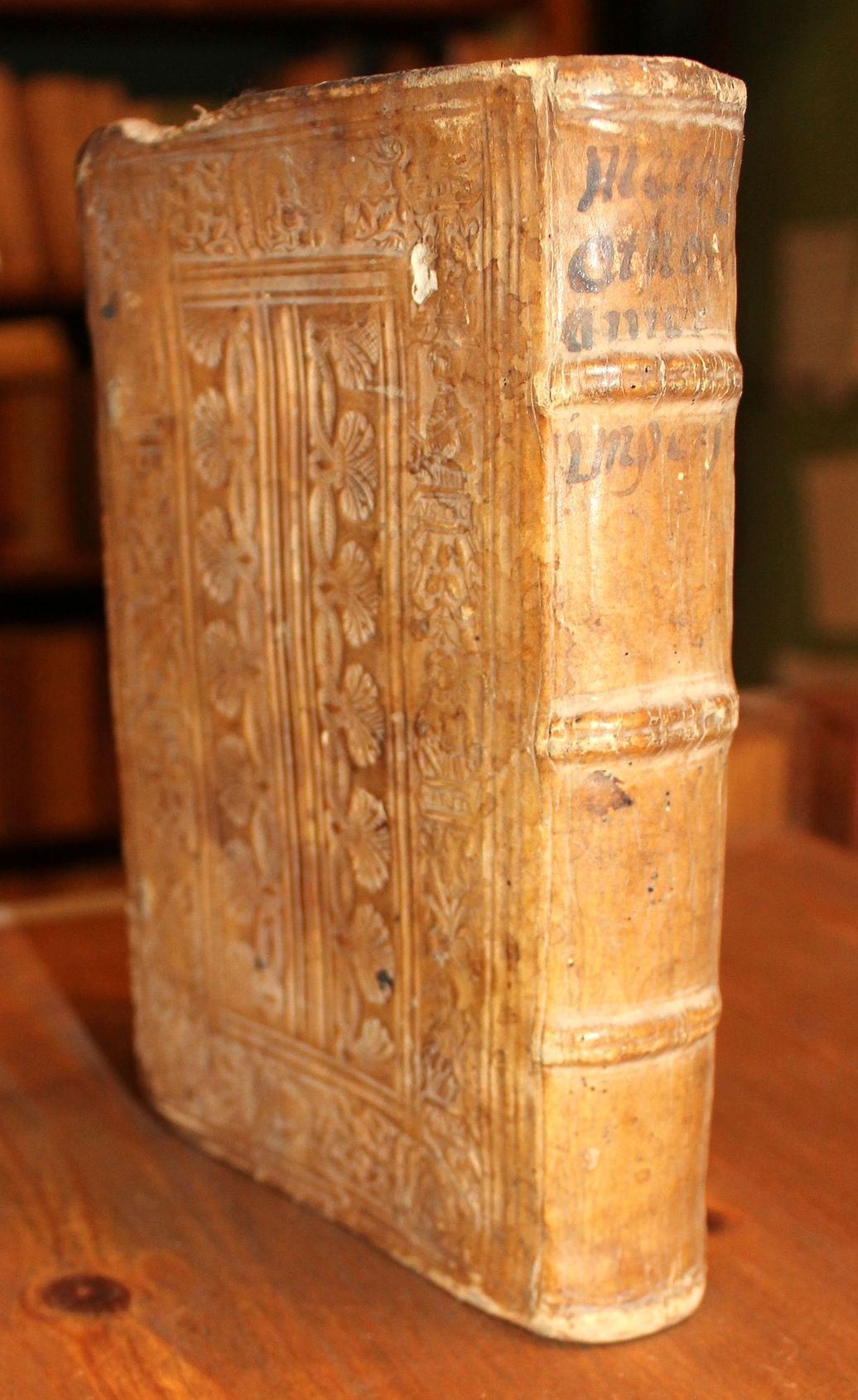 Aulae Turcicae, Othomannicique imperii, descriptio, qua Turcarum palatina officia, mores: …