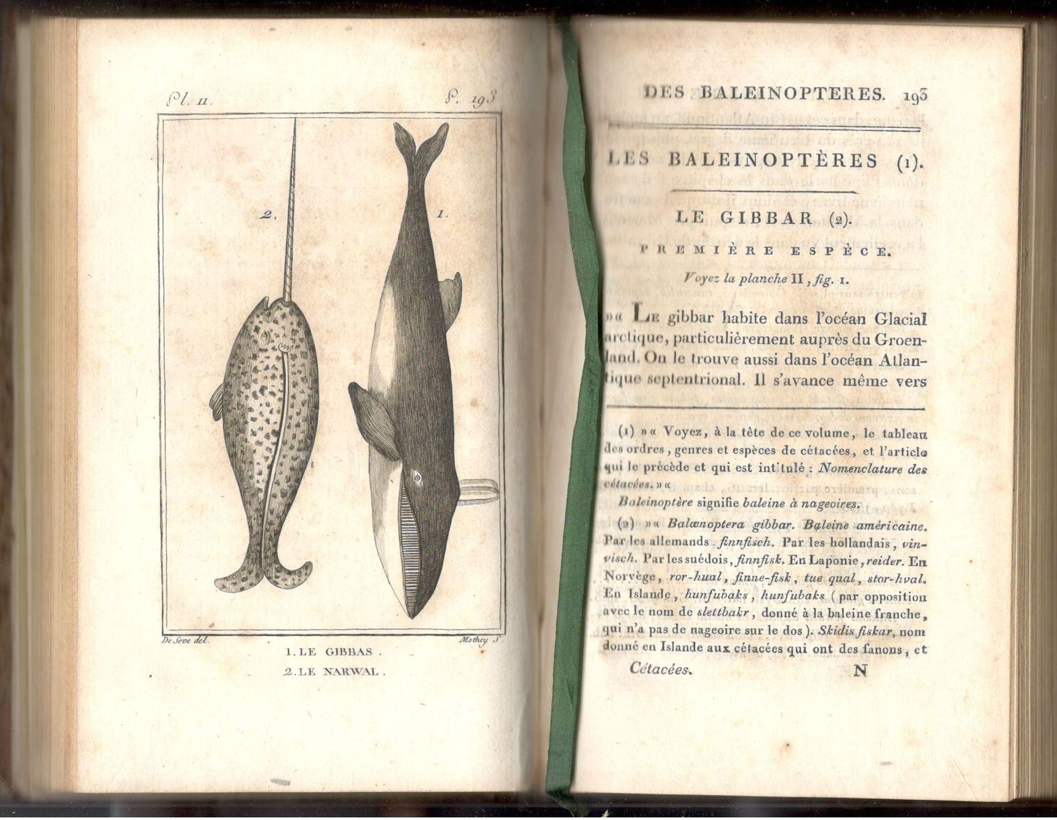 Histoire naturelle, générale et particulière, des Cétacées. Ouvrage faisant suite …