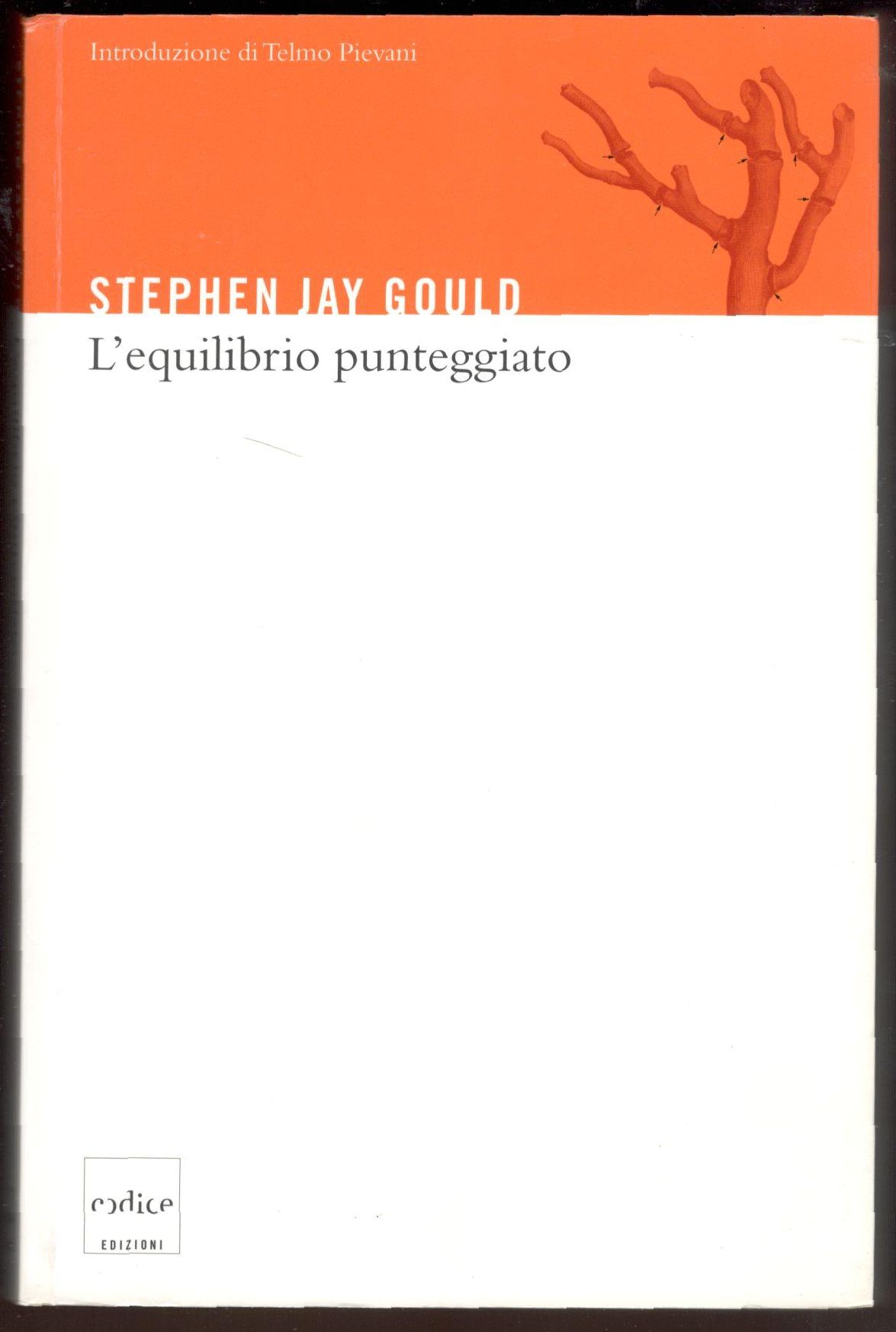 L'equilibrio punteggiato