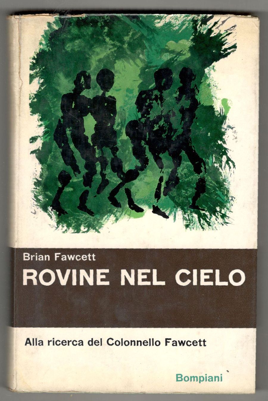 Rovine nel cielo. Alla ricerca del Colonnello Fawcett