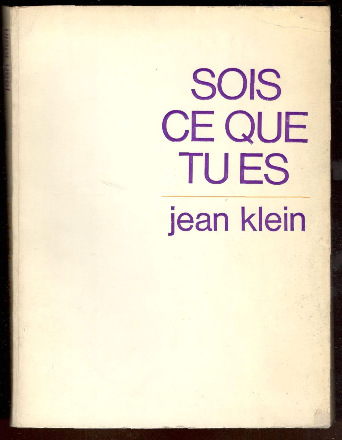 Sois ce que tu es. Entretiens sur la non-dualité
