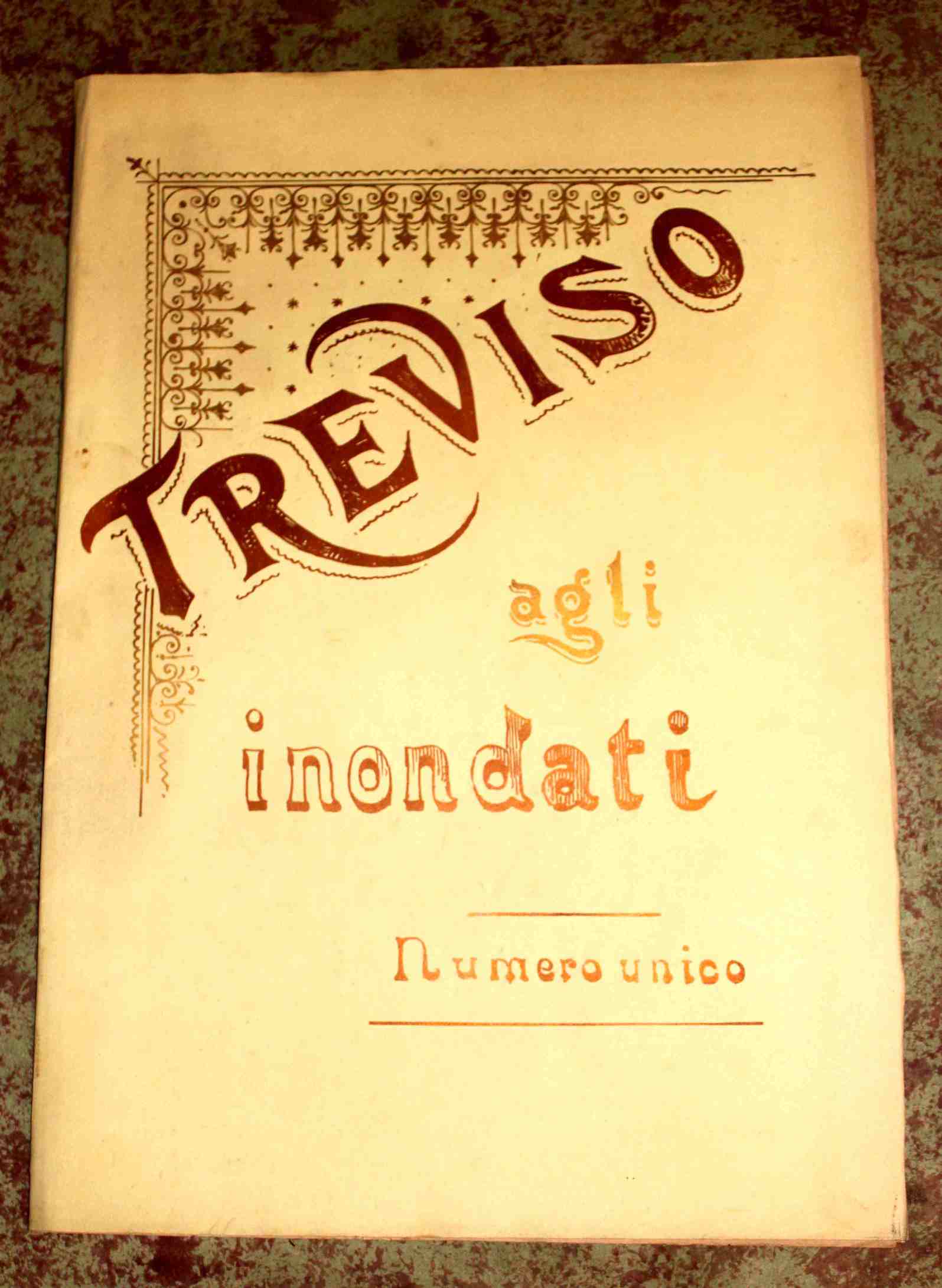 Treviso agli inondati. Numero unico