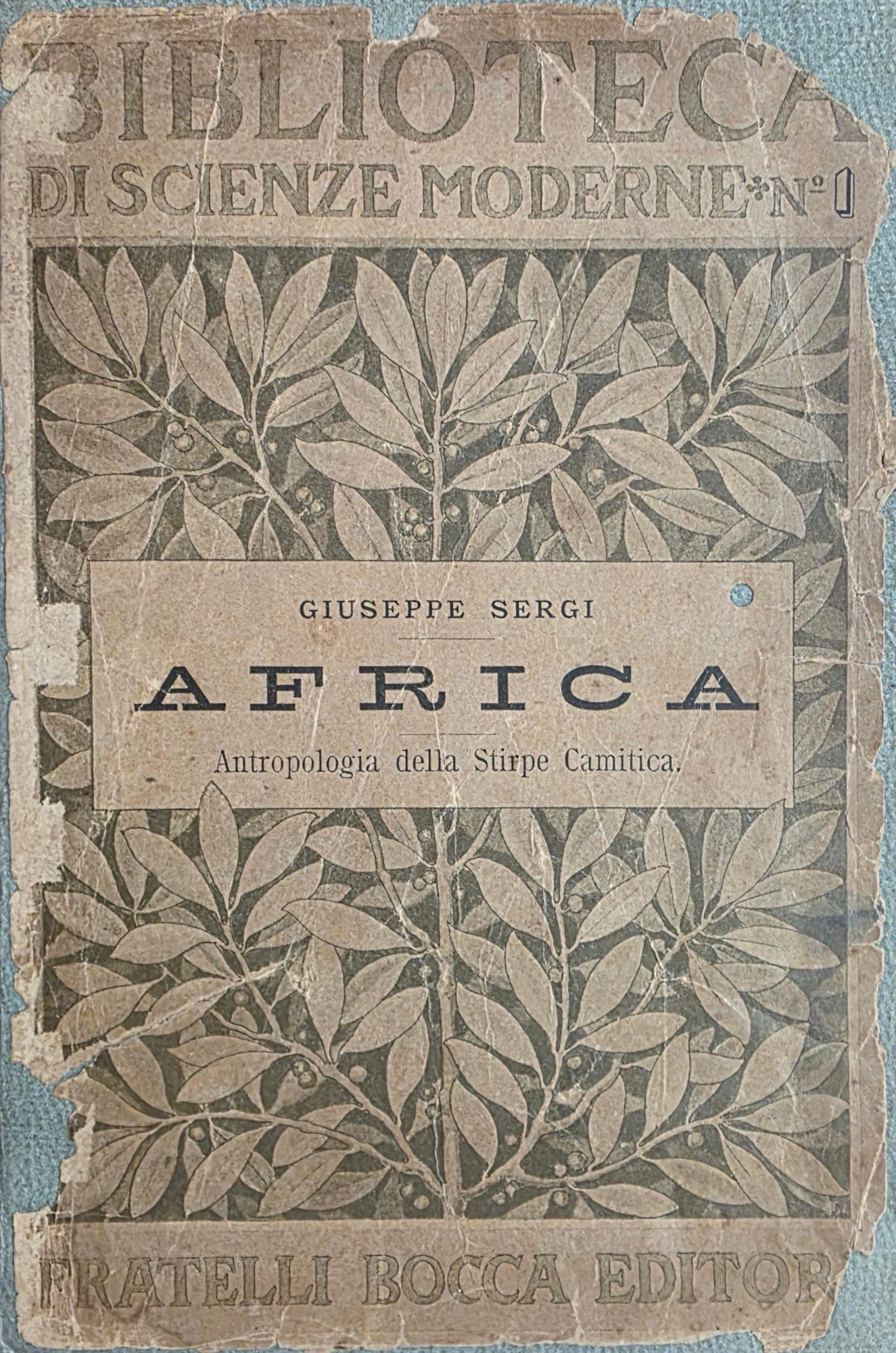 AFRICA. ANTROPOLOGIA DELLA STIRPE CAMITICA (SPECIE EURAFRICANA)